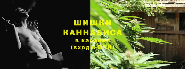 твердый Протвино