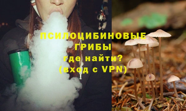стаф Армянск