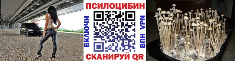 Галлюциногенные грибы мицелий  Мариинск 